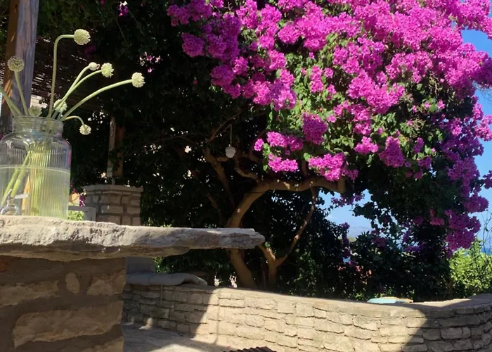 Uvik-kontra * 룸바르다